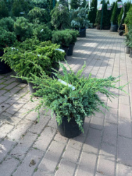 6D890E7F-C16D-4288-8146-EF1007D7