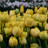 d6d436b4_a429_11eb_b629_d485645420e6_f1408683_b1d3_11eb_822f_d485645420e6